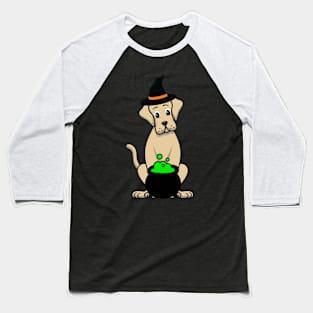 Funny Big Dog is wearing a witch costume Baseball T-Shirt